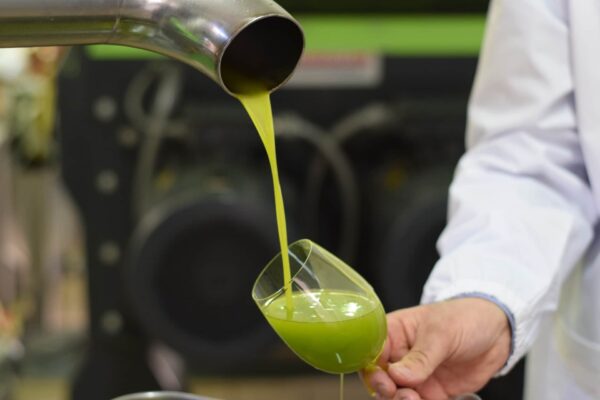 olio